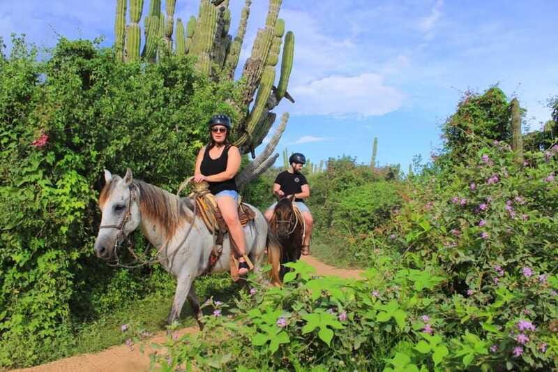 Cabo San Lucas: Beach & Desert Horseback Riding Tour - A useful option for families with young children