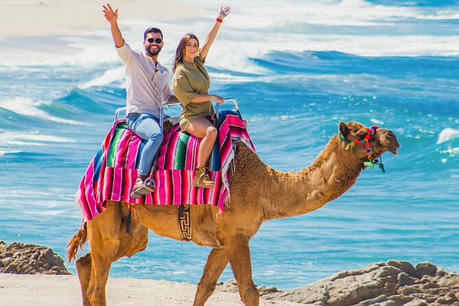 Cabo San Lucas Camel and Horseback Ride with ATV Adventure - What this Cabo adventure is really offering