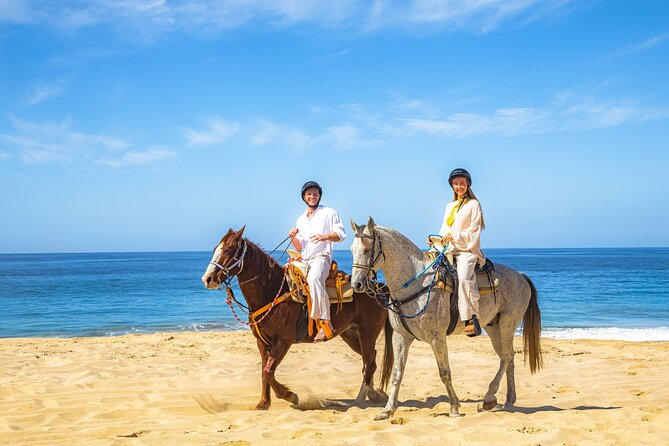 Cabo San Lucas Camel and Horseback Ride with ATV Adventure - Migriño Beach brings the main scenery