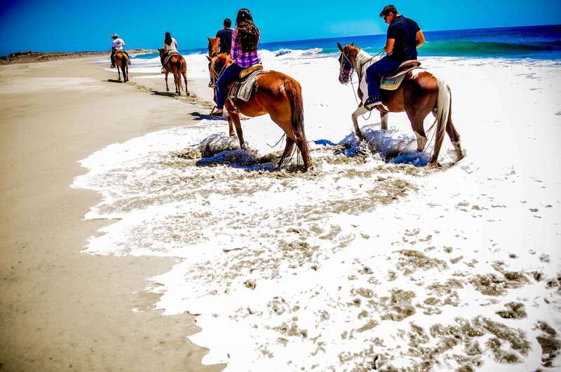 Cabo San Lucas: Horseback Riding in Migriño with Transfers - Key points to know before booking
