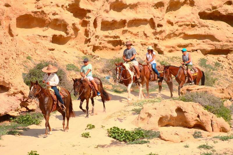 Cabo San Lucas: Horseback Riding in Migriño with Transfers - The lookout, free time, and tequila tasting