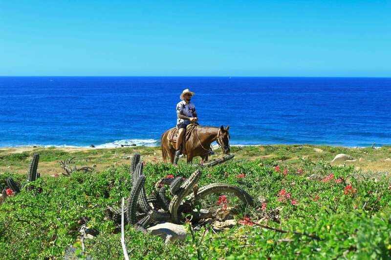 Cabo San Lucas: Horseback Riding in Migriño with Transfers - When to go and what to bring