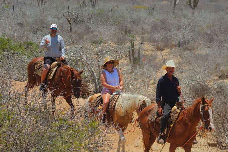 Cabo San Lucas: Horseback Riding in Migriño with Transfers - Who should book this Migriño ride?