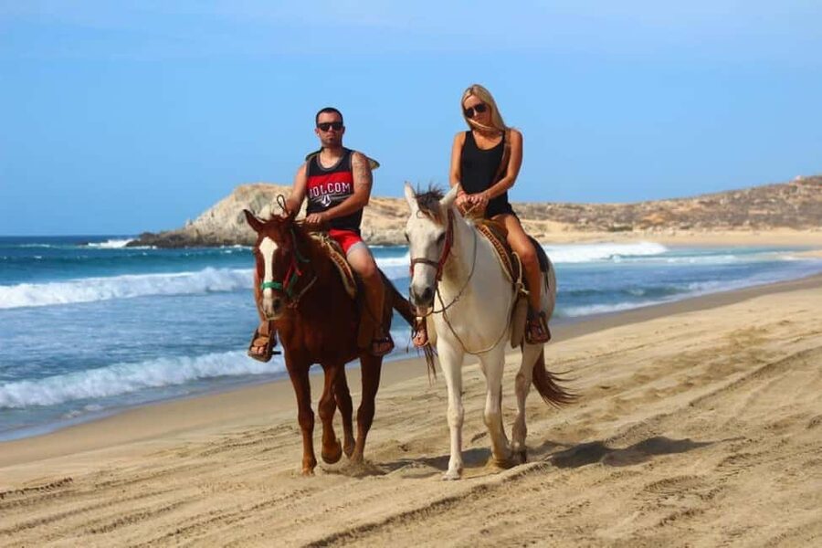 Cabo San Lucas: Horseback Riding on the Beach Experience - Key details before you saddle up