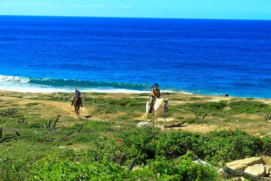 Cabo San Lucas: Horseback Riding on the Beach Experience - What the two hours feel like