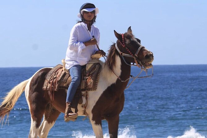 Cabo San Lucas Sunset Horseback Ride on the Beach - Key details before you book