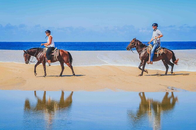 Cabo Shore Excursion: Beach Horseback Ride & Tequila Tasting - Playa Migrino: the heart of the ride