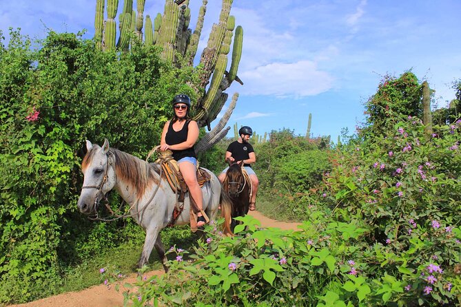 Cabo Shore Excursion: Beach Horseback Ride & Tequila Tasting - The riding route and what the itinerary really means