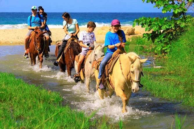 Cabo Shore Excursion: Beach Horseback Ride & Tequila Tasting - The tequila tasting at the end
