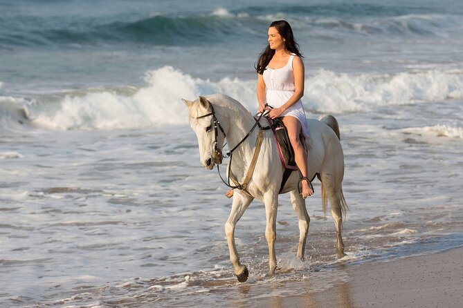 Cabo Shore Excursion: Beach Horseback Ride & Tequila Tasting - The $70 price and the extra fees