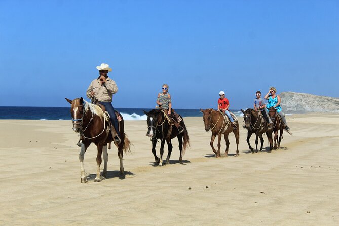 Cabo Shore Excursion: Beach Horseback Ride & Tequila Tasting - Who will enjoy this most