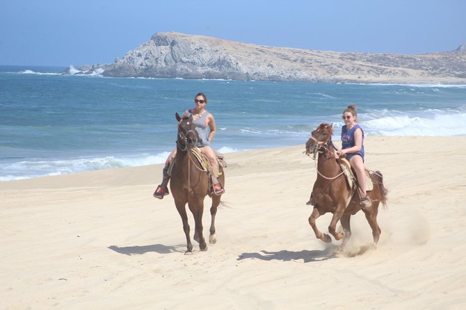 Cabo White Sand Horseback Riding Tour and Tequila Tasting - Key Points at a Glance