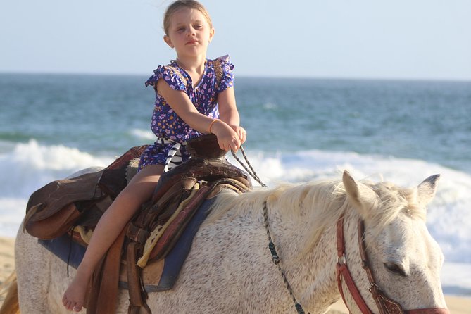 Cabo White Sand Horseback Riding Tour and Tequila Tasting - From Cabo Hotels to Real Baja Tours