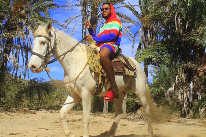 Cabo White Sand Horseback Riding Tour and Tequila Tasting - Reaching the White-Sand Beach