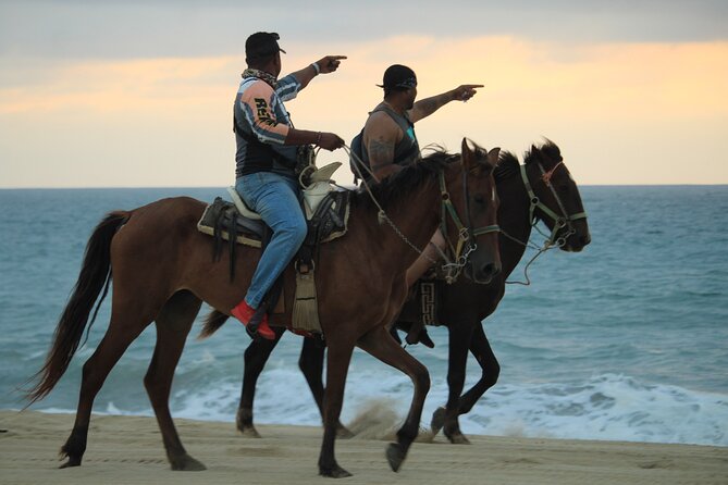 Cabo White Sand Horseback Riding Tour and Tequila Tasting - The Tequila Stop: Tasting and Sales Pitch