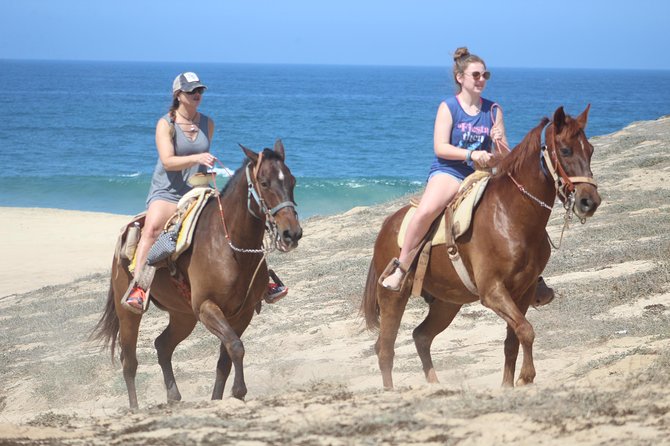 Cabo White Sand Horseback Riding Tour and Tequila Tasting - What the $85 Price Really Covers