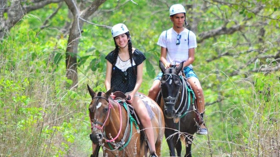 Cádiz Country side: Ride an Andalusian Horse - Key points to know before you book