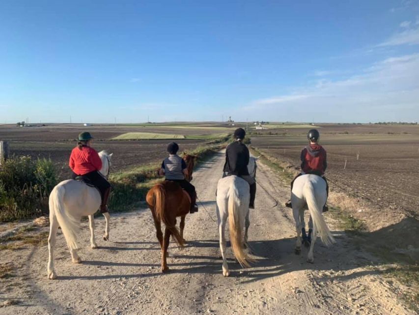 Cádiz Country side: Ride an Andalusian Horse - Meeting the Andalusian horses near El Puerto