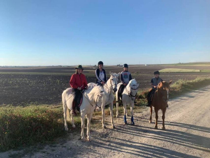 Cádiz Country side: Ride an Andalusian Horse - A small group keeps the outing personal
