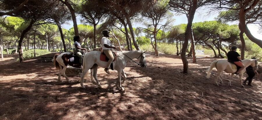 Cádiz Country side: Ride an Andalusian Horse - What the 1.5-hour schedule feels like