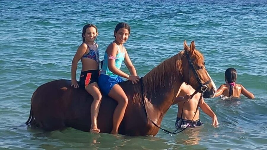 Cagliari: horseback riding with sunrise dive - What the $91 price really covers