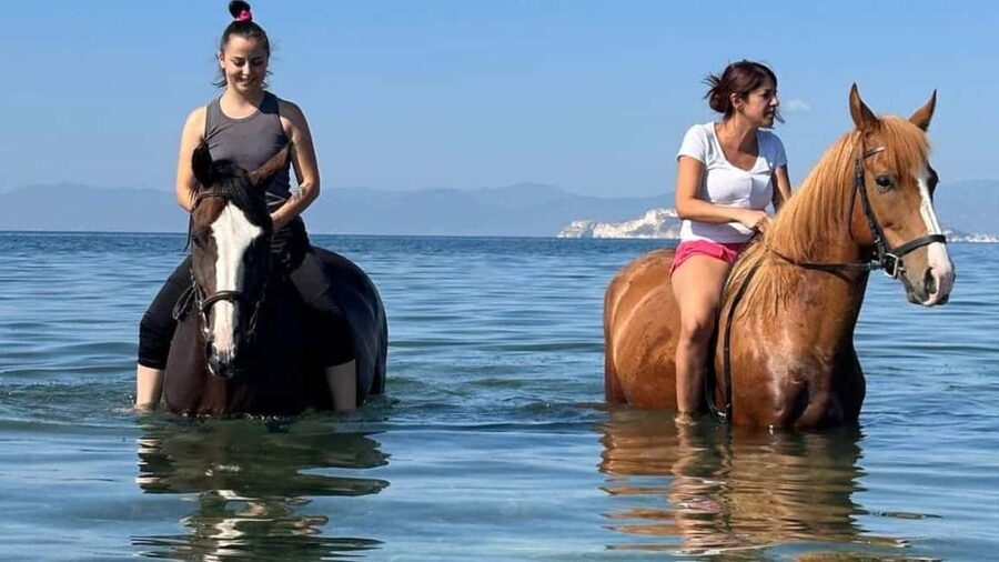 Cagliari: horseback riding with sunrise dive - Who will enjoy this most