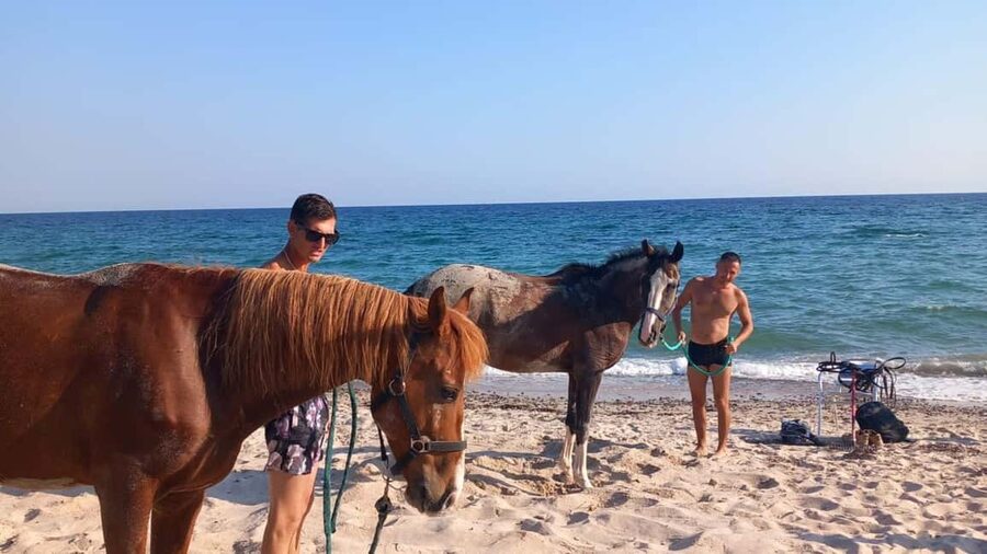 Cagliari: horseback riding with sunrise dive - Riding beside the sea before sunrise