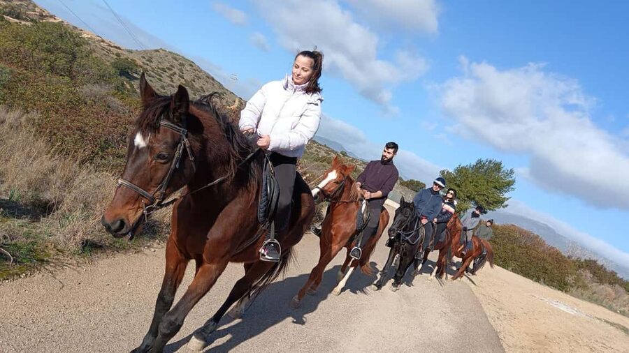 Cagliari: panoramic horseback riding - Who Should Choose This Horseback Ride?