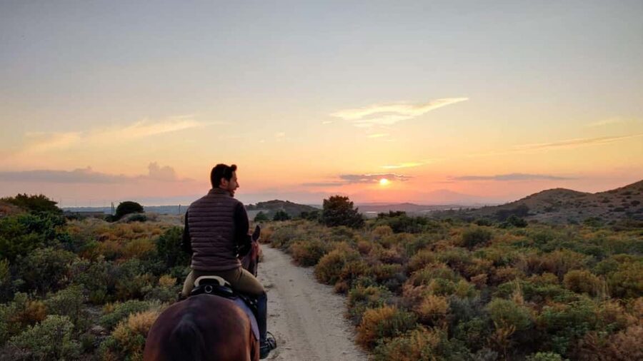 Cagliari: panoramic horseback riding - Getting There Without Losing Time
