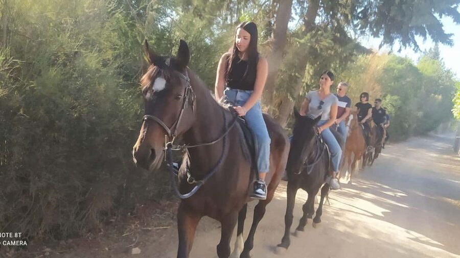 Cagliari: panoramic horseback riding - From the Riding School to the Monte Sette Fratelli Hills