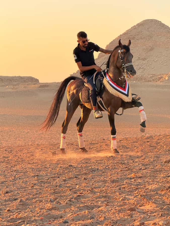 Cairo: Horse Riding tour at Pyramids of Giza - What the guide support is really like