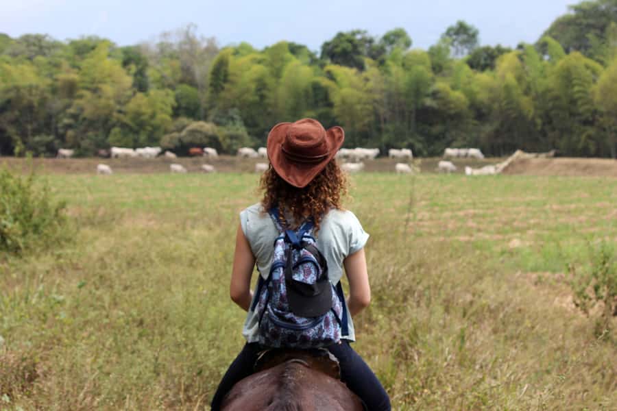 Cali: Horseback Riding - Leaving Cali for the Valle del Cauca countryside
