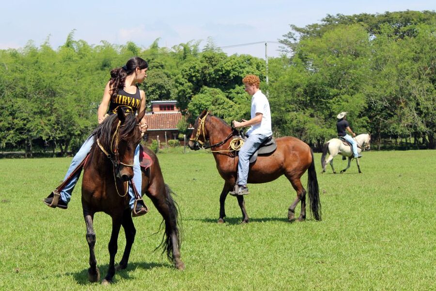 Cali: Horseback Riding - Why the group size matters