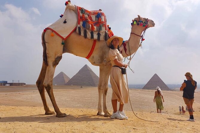 camel or horse Ride in Desert any time from Cairo or Giza hotels - Meeting your camel or horse near the pyramids