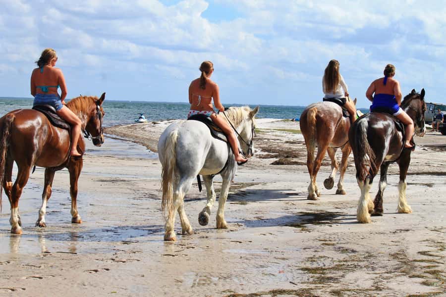Cape Town: Beach Horse Ride with Hotel Pickup & Drop-off - Key points to know before you book