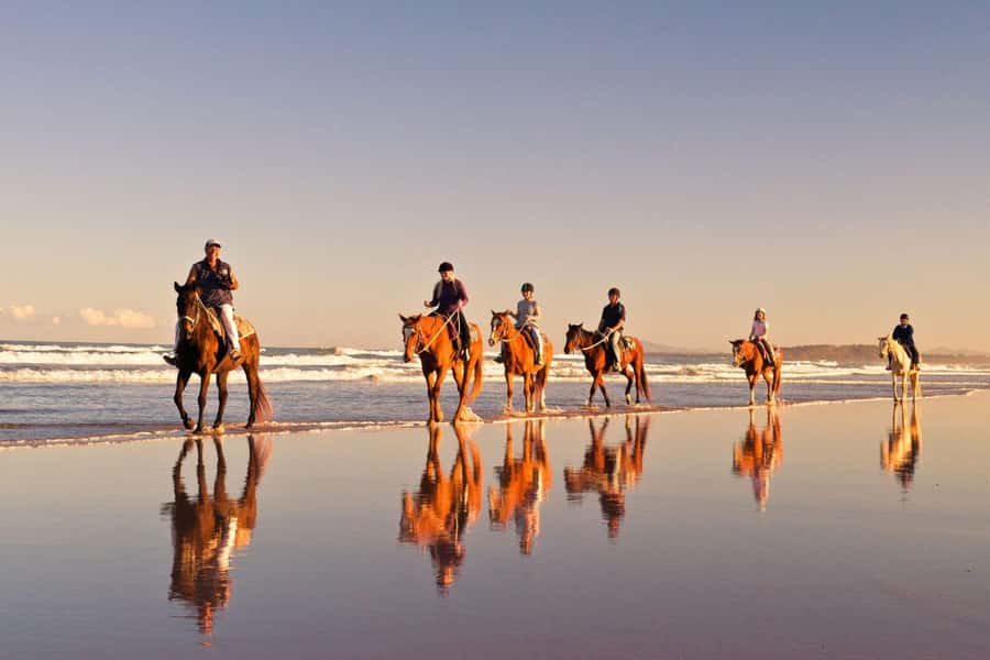 Cape Town: Beach Horse Ride with Hotel Pickup & Drop-off - Why a beach ride near Cape Town works so well