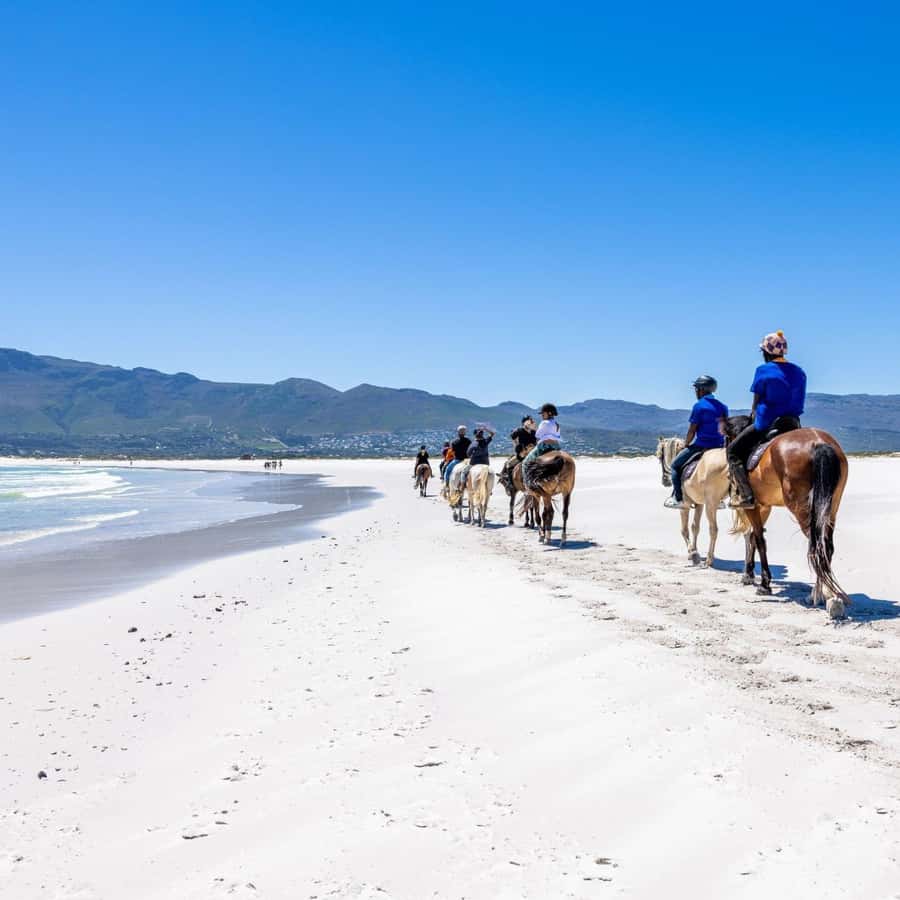 Cape Town: Beach Horse Ride with Hotel Pickup & Drop-off - Practical details that make the ride better