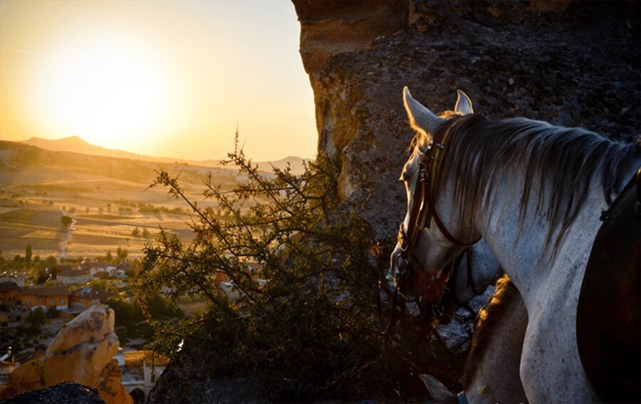 Cappadocia Horse Riding &Atv Quad Bike & Shooting with Camel - Who should book this experience?
