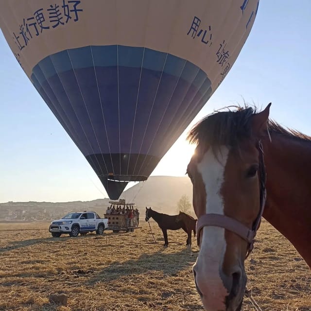 Cappadocia Horse Riding &Atv Quad Bike & Shooting with Camel - A short camel photo stop