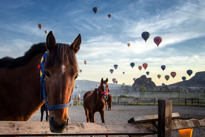Cappadocia Horse Riding Tour: Sunrise, Sunset, 1 Hour or 2 Hours - Meeting the horses and getting ready
