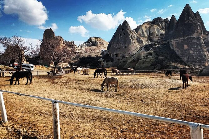 Cappadocia Horse Riding Tour: Sunrise, Sunset, 1 Hour or 2 Hours - A two-hour ride versus a one-hour option