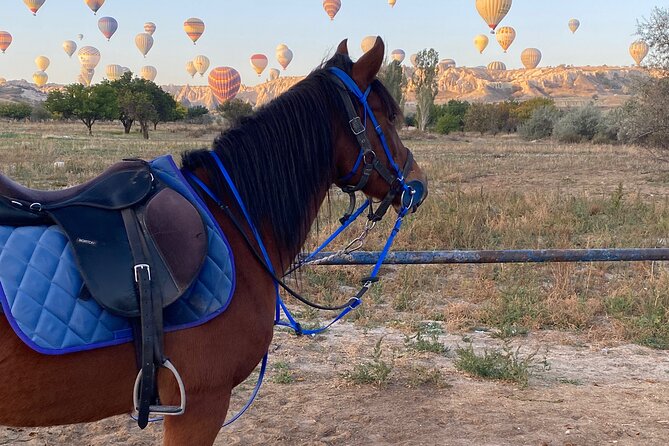 Cappadocia Horseback Ride through Valleys — Sunset/hoteltransfer - Twenty minutes in Kılıçlar Valley
