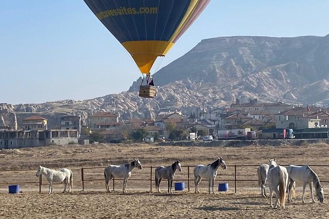 Cappadocia Horseback Ride through Valleys — Sunset/hoteltransfer - Who will enjoy this most?