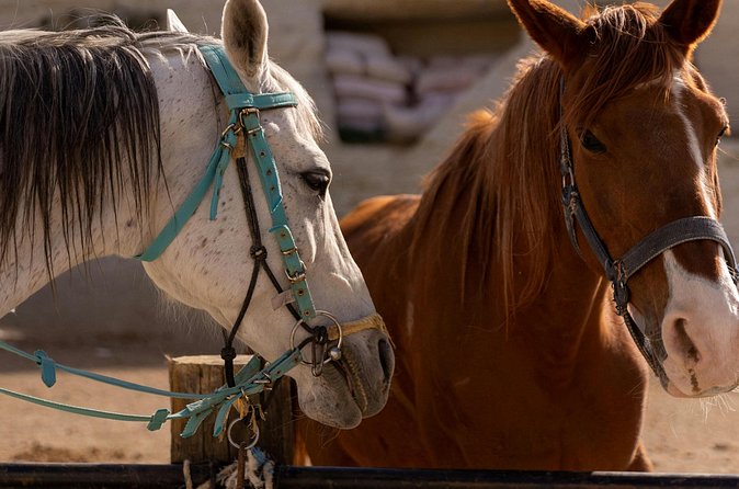 Cappadocia Horseback Riding Experience Sunrise, Daytime & Sunset - Sword Valley and the route between stops