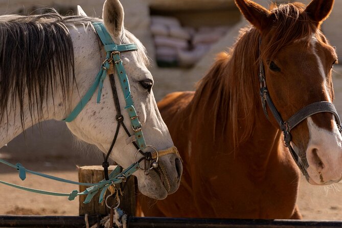 Cappadocia Horseback Riding Experience Sunrise, Daytime & Sunset - The guide, group size, and pace