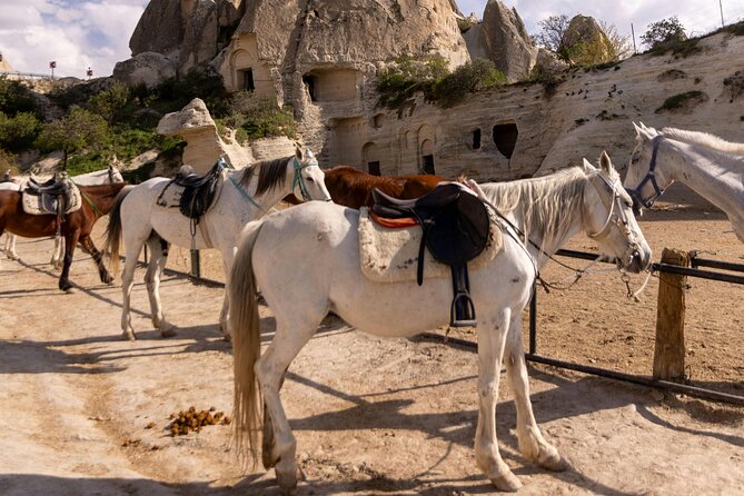 Cappadocia Horseback Riding Experience Sunrise, Daytime & Sunset - What the $27.55 price really includes