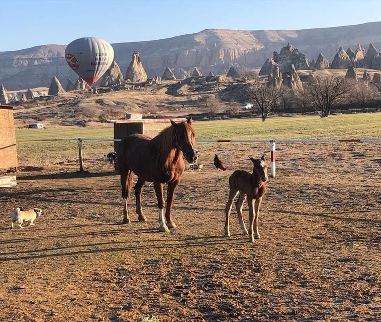 Cappadocia: Horseback Riding Tour in Cappadocia Valleys - Rose Valley and the best views