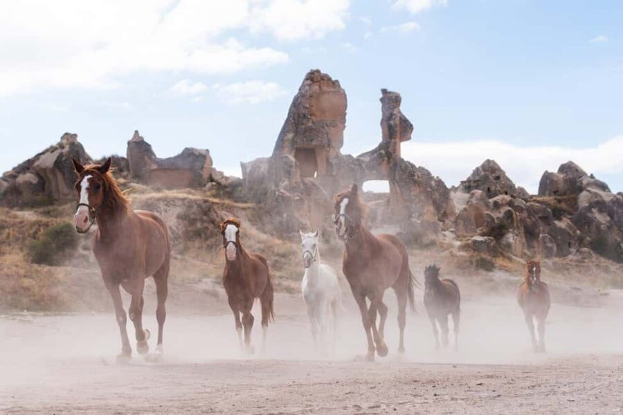 Cappadocia :Horseback Riding Tour Rose-Red Valley/LoveValley - Pickup from five Cappadocia bases