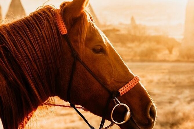 Cappadocia Horseback Riding Tour (Transfer Included) - Why horseback riding fits Cappadocia so well