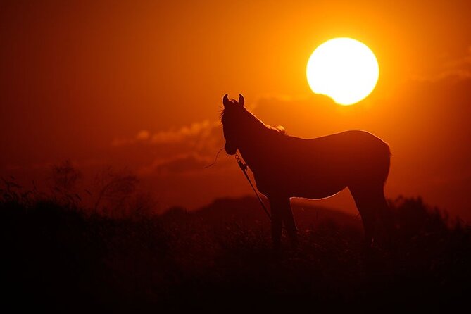 Cappadocia Horseback Riding Tour with Hotel Pickup & Helmet - Sunset riding versus daytime riding